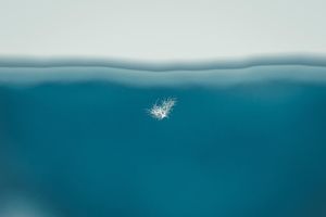 Image post by @jackportunephotography on Instagram
