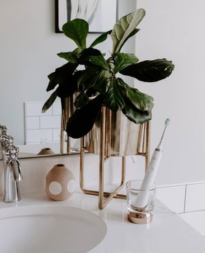 Image post by @philipssonicare on Instagram