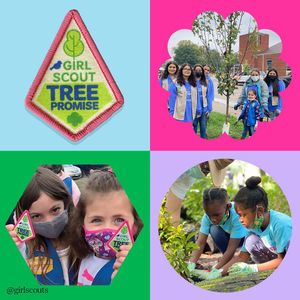 Image post by @girlscouts on Instagram