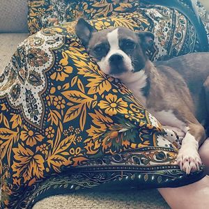 Image post by @wkrntv on Instagram