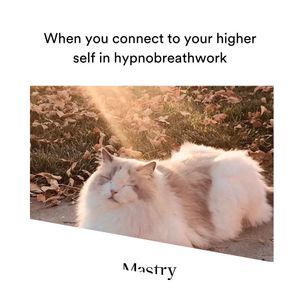 Image post by @mastryexperience on Instagram
