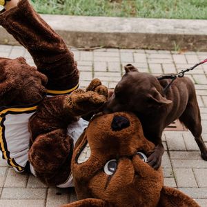 Image post by @umbclife on Instagram