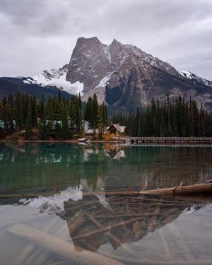 Image post by @theryan_reynolds on Instagram