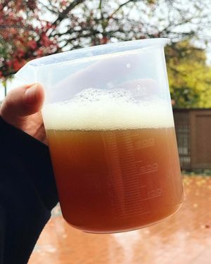 Image post by @sudwerkbrew on Instagram