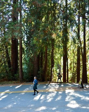 Image post by @ucsc on Instagram