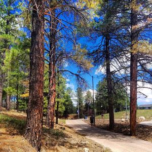 Image post by @nauflagstaff on Instagram