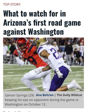 Image post by @dailywildcat on Instagram