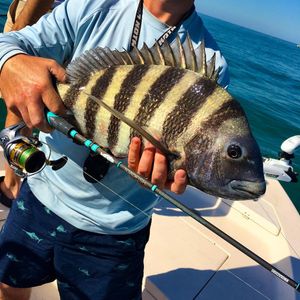Image post by @toadfishoutfitters on Instagram