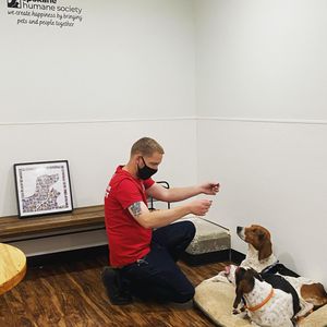 Image post by @spokhumanesoc on Instagram