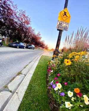 Image post by @cityofcalgary on Instagram