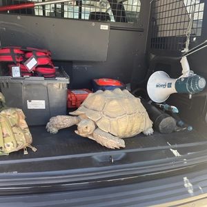 Image post by @vcsheriff on Instagram