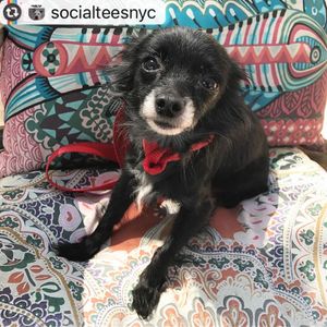 Image post by @nikkiglaser on Instagram