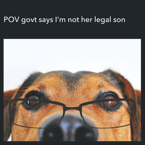 Image post by @turbotax on Instagram