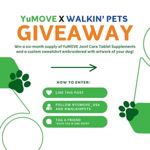 Image post by @yumove_usa on Instagram
