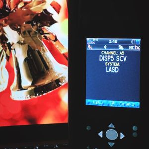 Image post by @reel_jamie on Instagram