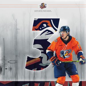 Image post by @swamprabbits on Instagram