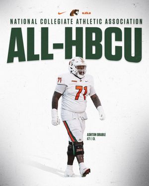 Image post by @famufb on Instagram