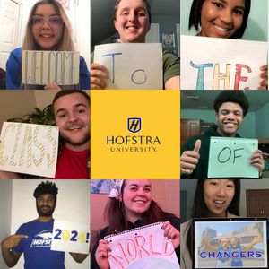 Image post by @hofstrau on Instagram