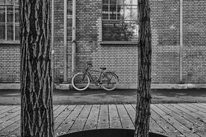 Image post by @picz.ch on Instagram