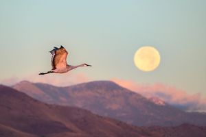 Image post by @huntsphotovideo on Instagram