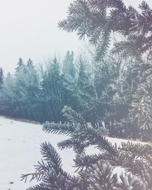 Image post by @glenroy on Instagram