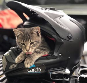 Image post by @aimexpo on Instagram