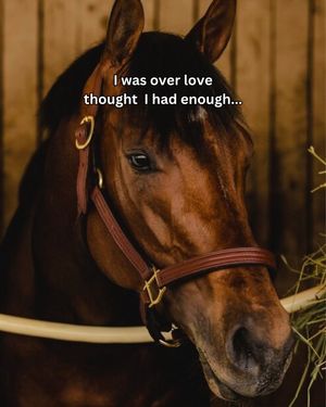 Video post by @kentuckyderby on TikTok