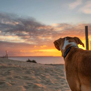 Image post by @JustinPotterPhotography on Facebook