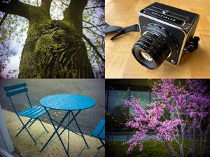 Image post by @fotodioxpro on Instagram
