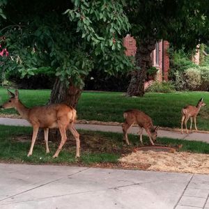 Image post by @cuboulderalumni on Instagram