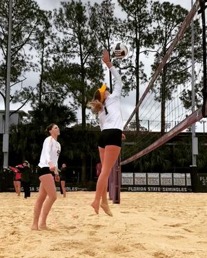 Image post by @lsubeachvb on Instagram