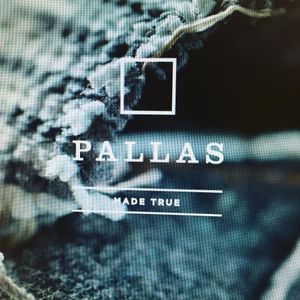 Image post by @pallastextiles on Instagram