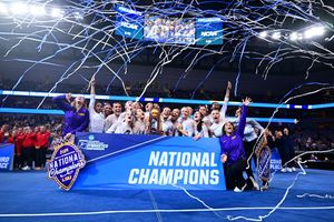 Image post by @LSUgym on Twitter/X