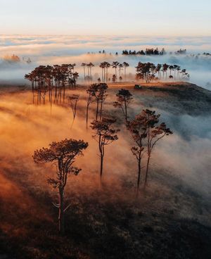 Image post by @dronepals on Instagram