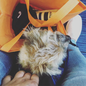 Image post by @amandakl on Instagram