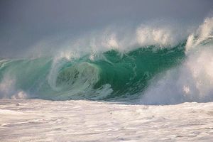 Image post by @olukai on Instagram