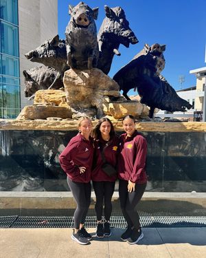 Image post by @cmugymnastics on Instagram