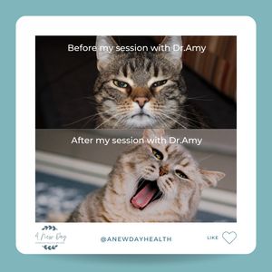 Image post by @anewdayhealth on Instagram