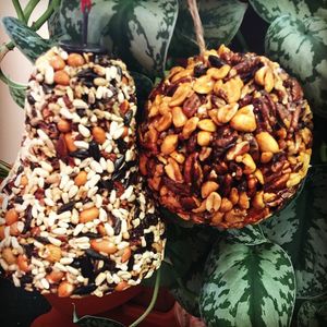 Image post by @kidsgardening on Instagram