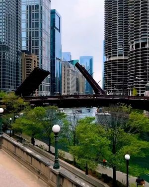 Image post by @chicago.explore on Instagram