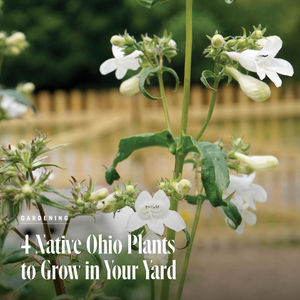 Image post by @clevelandmagazine on Instagram