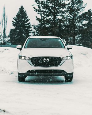Image post by @parkmazda on Instagram