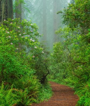 Image post by @nationalparkscollective on Instagram