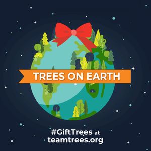 Image post by @teamtrees on Instagram