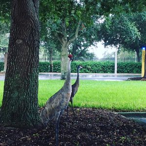 Image post by @rosencollege on Instagram
