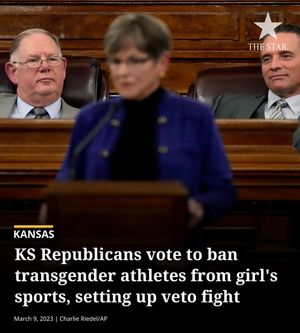 Image post by @thekansascitystar on Instagram