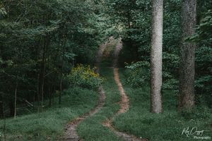 Image post by @rileydaggettcreative on Instagram