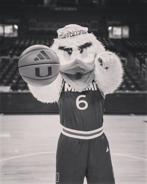 Image post by @um_sebastian on Instagram