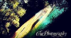 Image post by @c91photography on Instagram