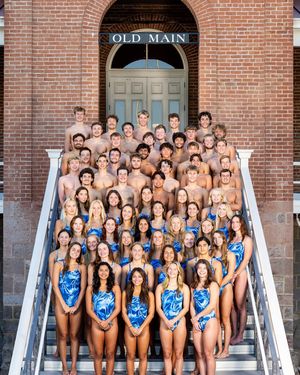 Image post by @arizonaswimdive on Instagram
